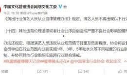 娱乐圈违背道德爆料,爆料风波再起